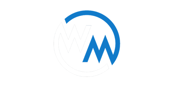 Visa Logo